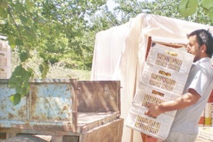 Ziraat mezunları sınıfa öğretmenler tarlaya.