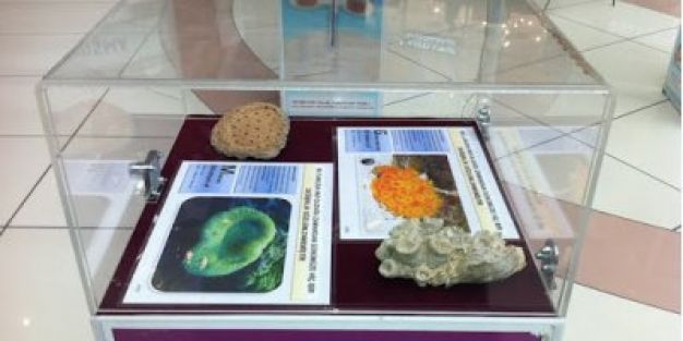 MEB, Bilim Düşmanlarına Destek Olmayı Sürdürüyor!