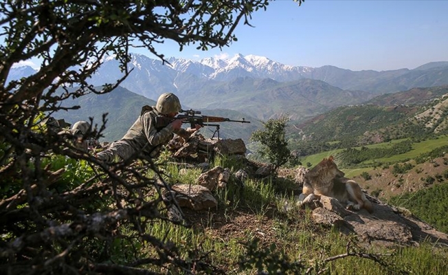 'PKK çözülme sürecine girdi'