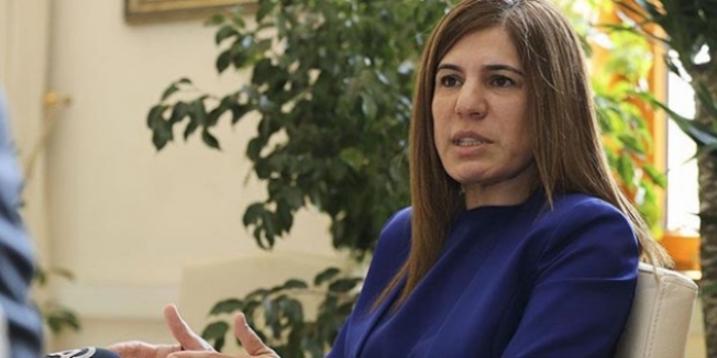'Teröristleri ağırlamak demokrasi ile bağdaşmaz'