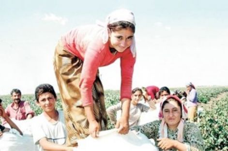 Meb'den Korkutan Devamsızlık Raporu