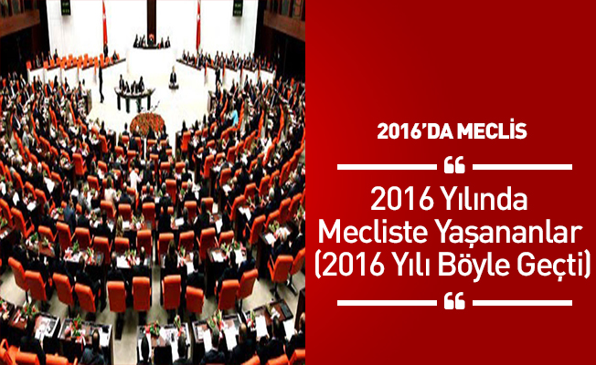 2016 Yılında Mecliste Yaşananlar (2016 Yılı Böyle Geçti)