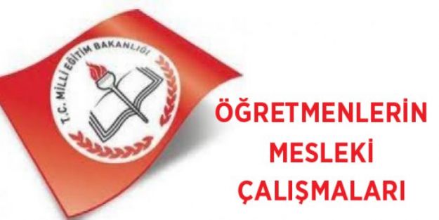 ORTAÖĞRETİMDE MESLEKİ ÇALIŞMALAR-ÖRNEK PROGRAM
