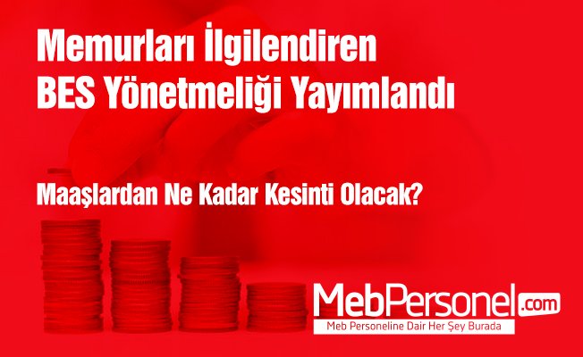 BES yönetmeliği yayımlandı