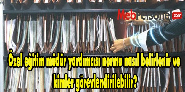 Özel eğitim müdür yardımcısı normu nasıl belirlenir ve kimler görevlendirilebilir?