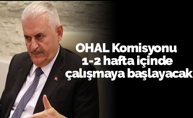 OHAL Komisyonu 1-2 hafta içinde çalışmaya başlayacak