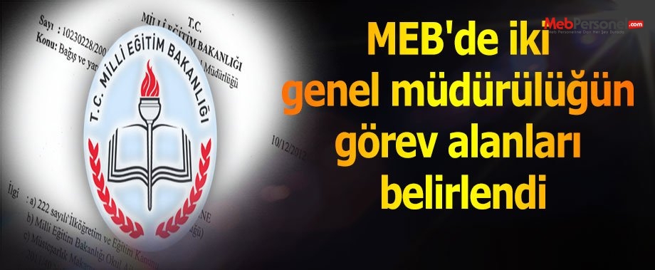 MEB'de iki genel müdürülüğün görev alanları belirlendi
