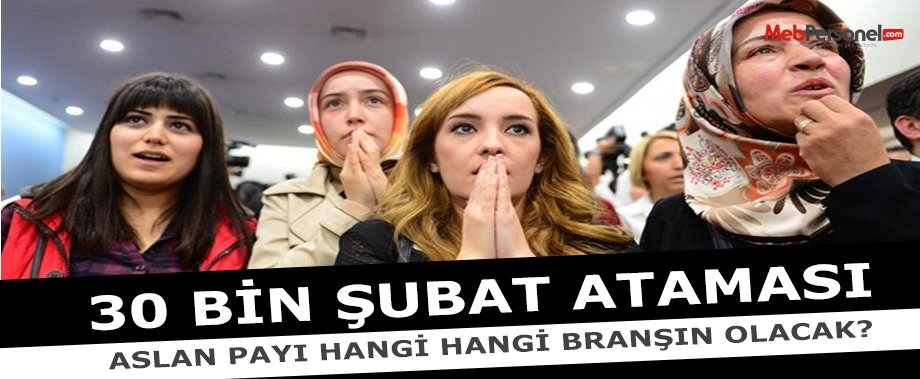 Öğretmen Atamaları Kadro Dağılımında Aslan Payı Hangi Branşın Olacak ?