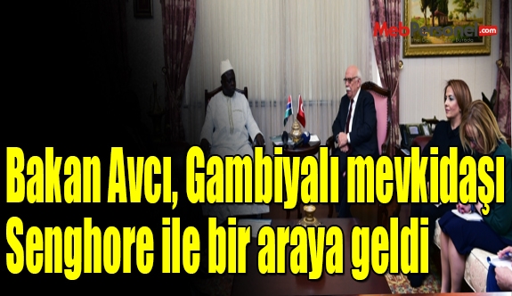 Bakan Avcı, Gambiyalı mevkidaşı Senghore ile bir araya geldi