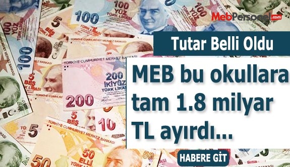 MEB özel okullara 1.8 milyar TL'lik bütçe ayırdı
