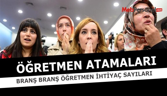 Branş Branş Öğretmen İhtiyaç Sayıları