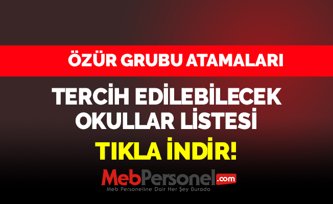 Özür Grubu Atamaları Tercih Edilebilecek Okullar Listesi