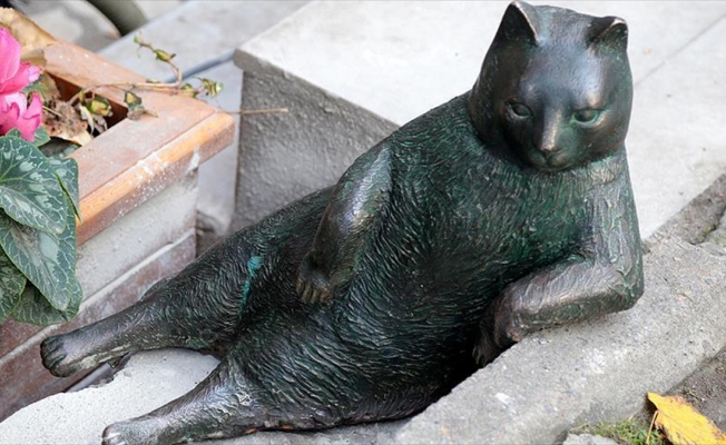 Kadıköy'deki kedi Tombili'nin heykeli yeniden yerine koyuldu