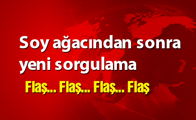 Soy ağacından sonra yeni sorgulama