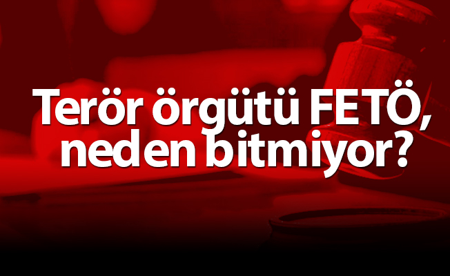 Terör örgütü FETÖ, neden bitmiyor?