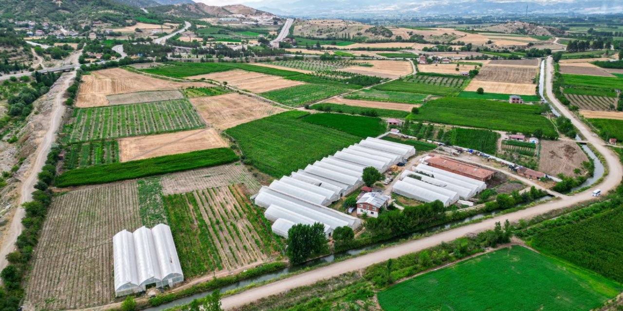 Öğretmenliği bırakarak çiftçiliğe başladı: Öğretmen maaşına 10 işçi çalıştırıyor