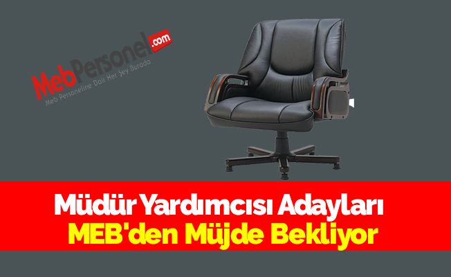 Müdür Yardımcısı Adayları MEB'den Müjde Bekliyor