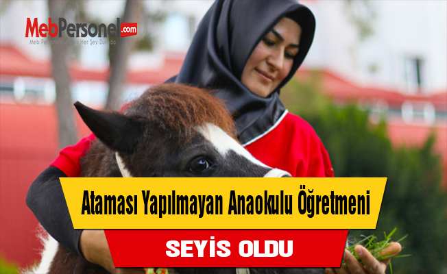 Ataması Yapılmayan Anaokulu Öğretmeni Seyis Oldu