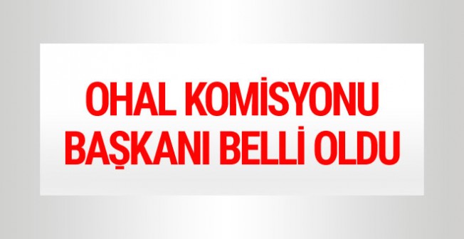 OHAL Komisyonu Başkanı belli oldu!