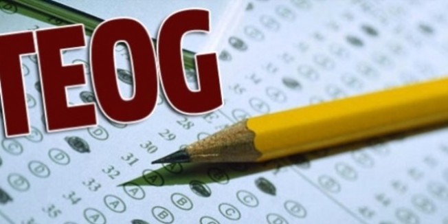 Kahvehanede babasına yardım eden Özge'nin TEOG başarısı