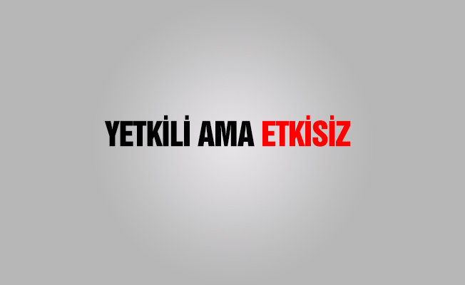 Yetkili ama Etkisiz