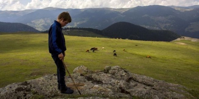 Eren Bülbül'ü fotoğraflayan öğretmen o anları anlattı