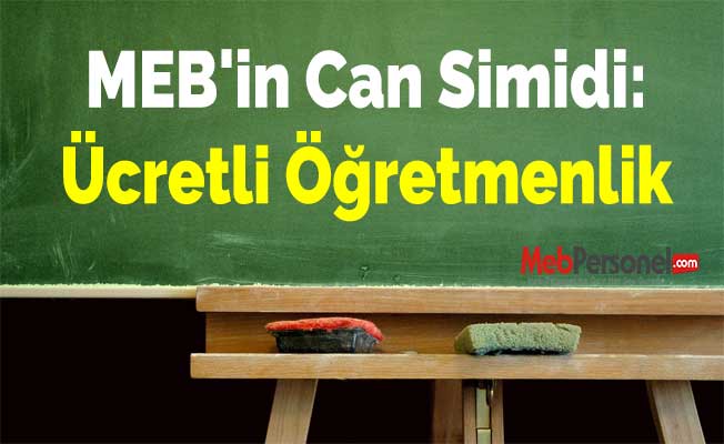 MEB'in Can Simidi: Ücretli Öğretmenlik