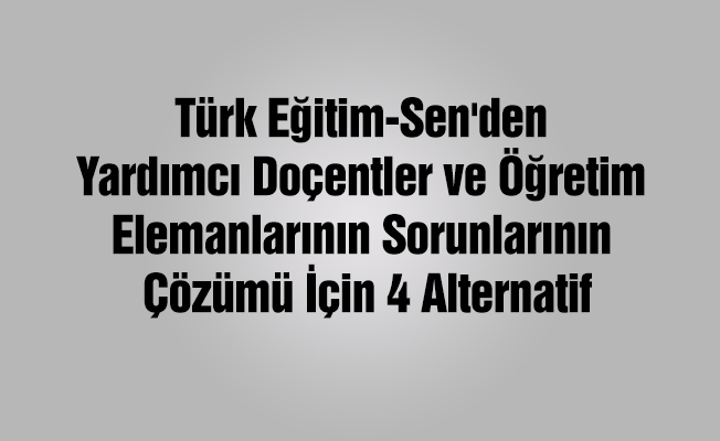 Türk Eğitim-Sen'den Yardımcı Doçentler ve Öğretim Elemanlarının Sorunlarının Çözümü İçin 4 Alternatif