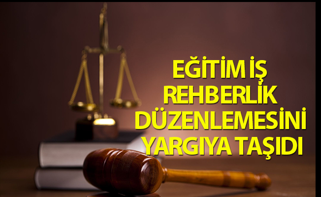 EĞİTİM İŞ REHBERLİK DÜZENLEMESİNİ YARGIYA TAŞIDI