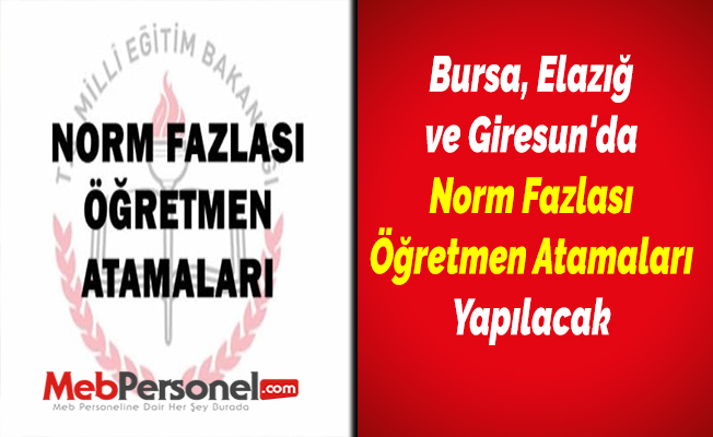 Bursa, Elazığ ve Giresun'da Norm Fazlası Öğretmen Atamaları Yapılacak