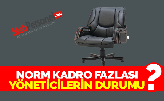 NORM KADRO FAZLASI YÖNETİCİLERİN DURUMU