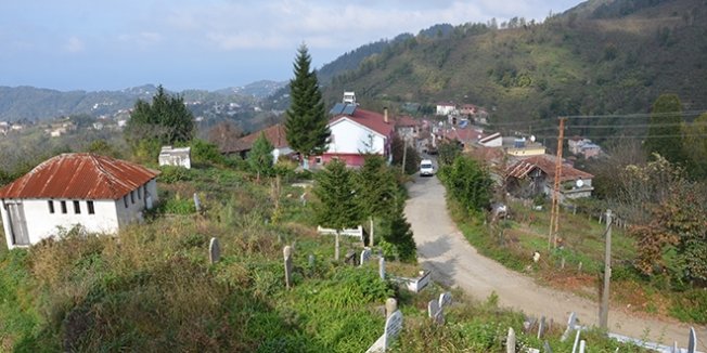 Fıkra gibi mahalle