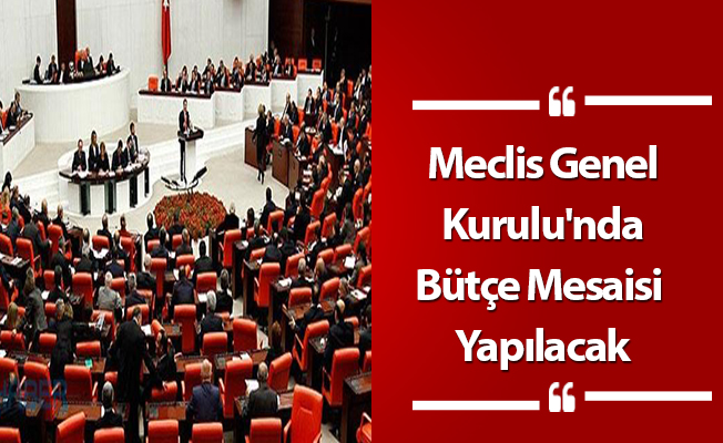 Meclis Genel Kurulu'nda Bütçe Mesaisi Yapılacak