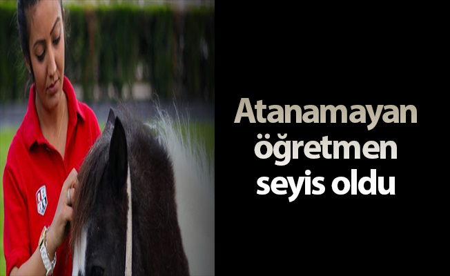 Atanamayan öğretmen seyis oldu