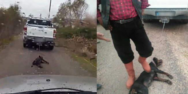 Öğretmen, köpeği otomobile bağlayıp sürükledi