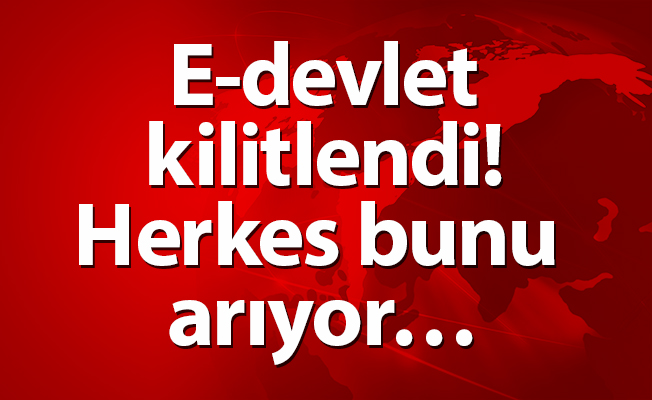 E-devlet kilitlendi! Herkes bunu arıyor…