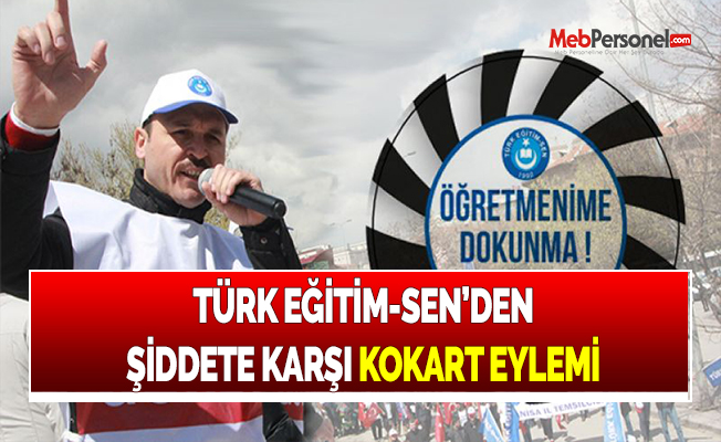 TÜRK EĞİTİM-SEN’DEN ŞİDDETE KARŞI KOKART EYLEMİ