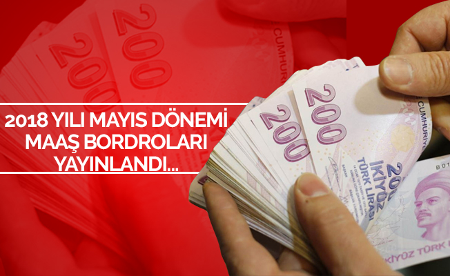 Mayıs Ayı Maaş Bordroları E-Devlette Yayınlandı
