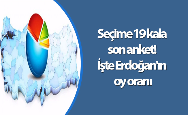 Seçime 19 kala son anket! İşte Erdoğan'ın oy oranı