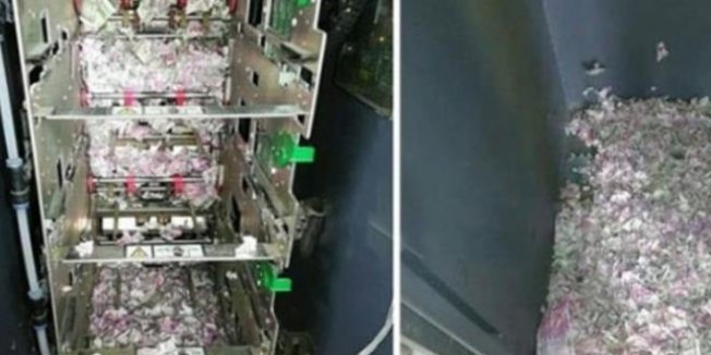 ATM'nin içine giren fare 9 milyon TL'yi yedi