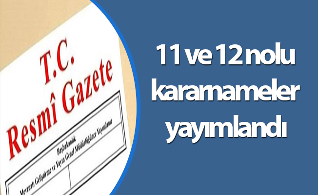 11 ve 12 nolu kararnameler yayımlandı