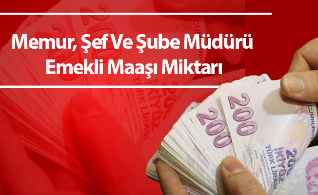 Memur, Şef Ve Şube Müdürü Emekli Maaşı Miktarı