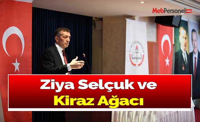 Ziya Selçuk ve Kiraz Ağacı