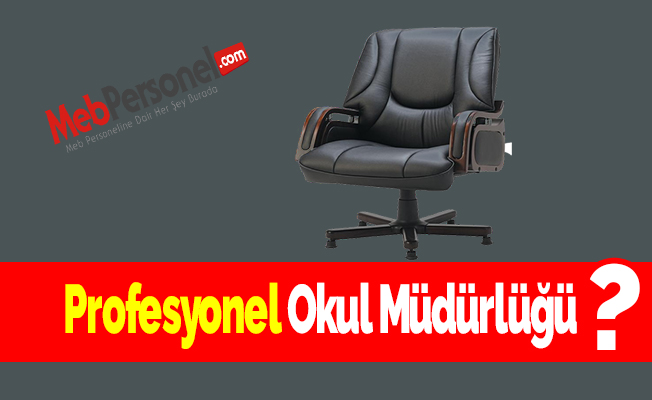 Profesyonel Okul Müdürlüğü