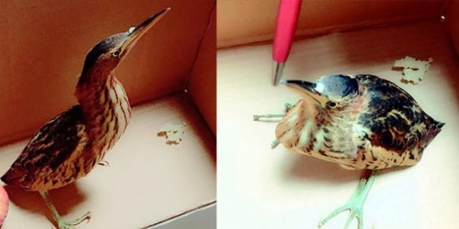 Müdür, okulun kapısının önünde buldu