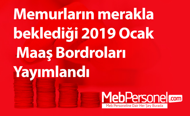 Memurların merakla beklediği 2019 Ocak Maaş Bordroları Yayımlandı