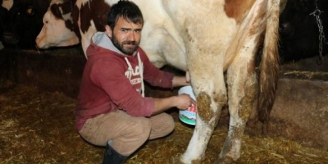 6 yıldır atanamayan öğretmen adayı çareyi köyünde buldu