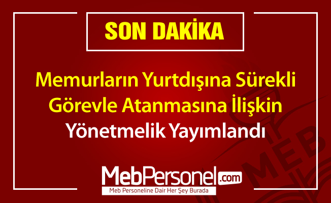 Memurların Yurtdışına Sürekli Görevle Atanmasına İlişkin Yönetmelik Yayımlandı