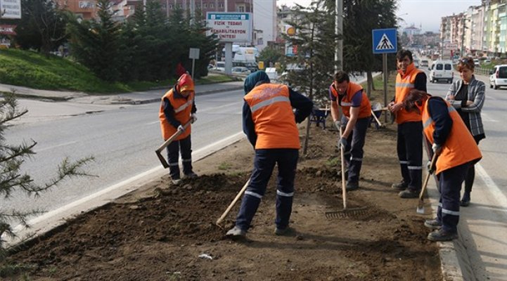 Taşeron Düzenlemesi Gibi TYP Çalışanlarına Kadro Müjdesi Gelir mi?