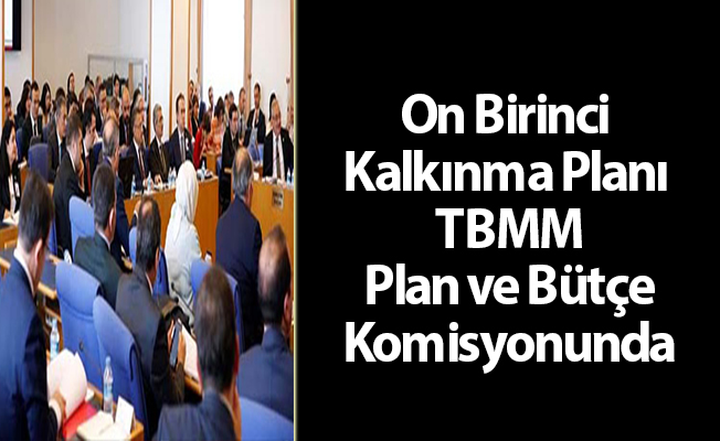 On Birinci Kalkınma Planı TBMM Plan ve Bütçe Komisyonunda